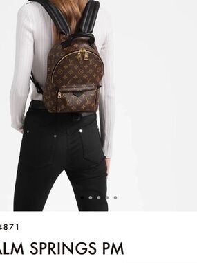 Louis Vuitton Monogram Mini Backpack in Brown with Black Straps